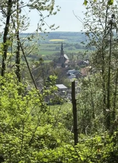 photo rubrique environnement